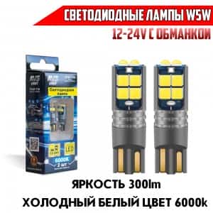 AVS лампа светодиодная Т10 300Lm W5W 12-24V 6диодов 6000K с обманкой 2шт