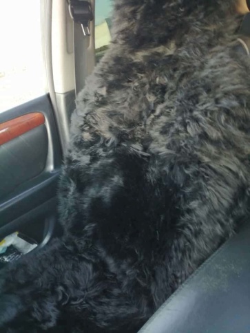 Накидка  длинный ворс черный 140х50см 2шт    фото 2