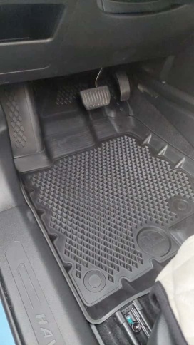 Form Коврики  в салон Haval Jolion 4 WD  с 2021г полиуретан EVA 3D премиум комплект 4шт     фото 6