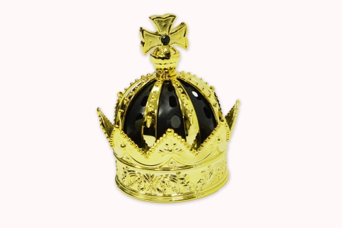 Skyway  ароматизатор на панель жидкий с дозатором Корона новая машина    фото 3