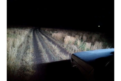 C2R Светодиодная балка 300W рабочий свет 10-30V 6500K 7900Lm 140 диодов 1300x65x45мм гарантия 3мес фото 3