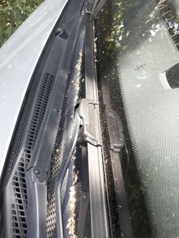 AVS  щетка стеклоочистителя Basic Line бескаркасная 350мм    фото 5