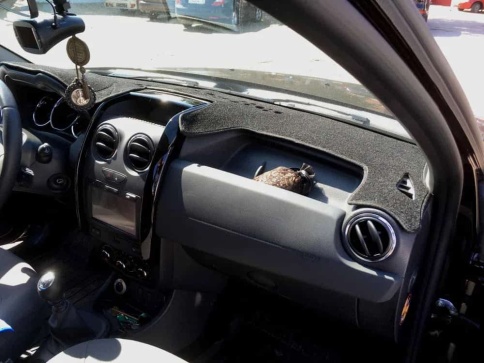 Накидка на панель Renault Duster 1 2010-2020г Nissan Terano 2013-2019г Lada Largus 2020-2023г карпет фото 1