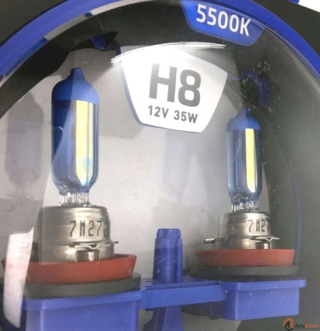 MTF  лампа H8 Palladium 12V 35W 5500K ярко-белый 2шт    фото 3