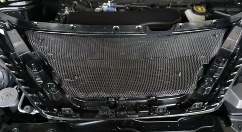 Dollex  защитная сетка на решетку радиатора ячейка серебристая 10ммх5,5мм 100х20см    фото 4