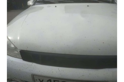 Skyway утеплитель радиатора ВАЗ 1117 1118 1119 Лада Калина Lada Kalina 750 х 80мм кожа фото 3